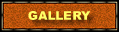 About Museum Galleries